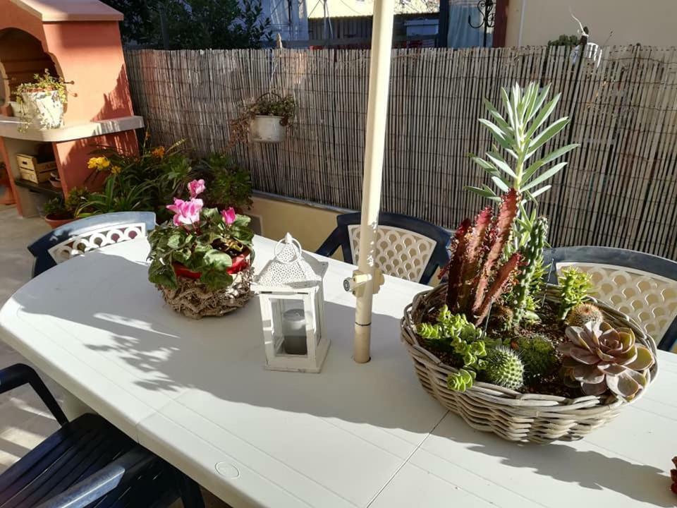 Melon'S House Βίλα Torre del Lago Puccini Εξωτερικό φωτογραφία