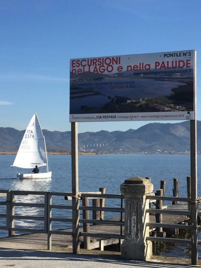Melon'S House Βίλα Torre del Lago Puccini Εξωτερικό φωτογραφία
