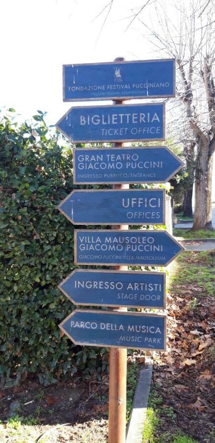 Melon'S House Βίλα Torre del Lago Puccini Εξωτερικό φωτογραφία