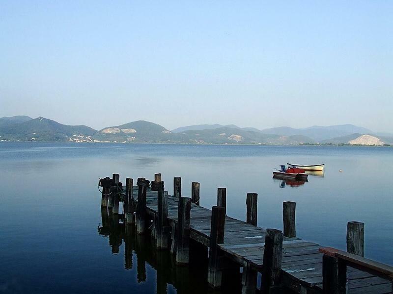 Melon'S House Βίλα Torre del Lago Puccini Εξωτερικό φωτογραφία